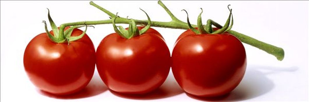 三个,西红柿茎,白色背景