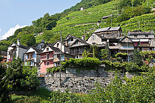 远眺,韦尔扎斯卡谷,山谷,提契诺河,瑞士,欧洲