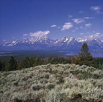 山脉,积雪,山,大提顿山,国家公园,怀俄明,美国,北美