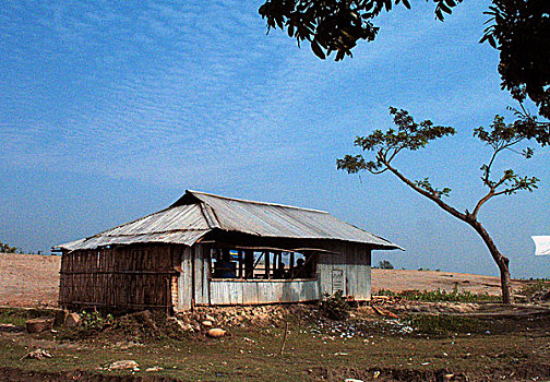 茶,货摊,海滩,区域,孟加拉,十二月,2008年