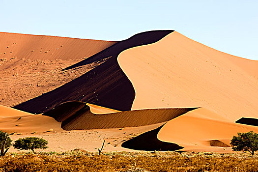 纳米比诺克陆夫国家公园,纳米布沙漠,沙丘,纳米比亚