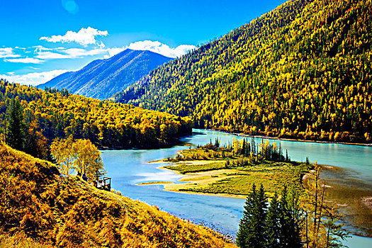 新疆,喀纳斯,森林,河流,秋色