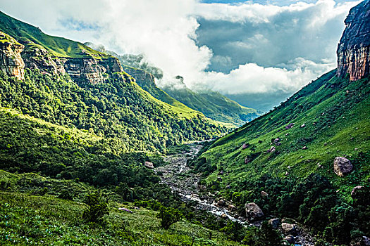 绿色,风景,河,山谷,德拉肯斯堡,国家公园,纳塔耳,南非,非洲