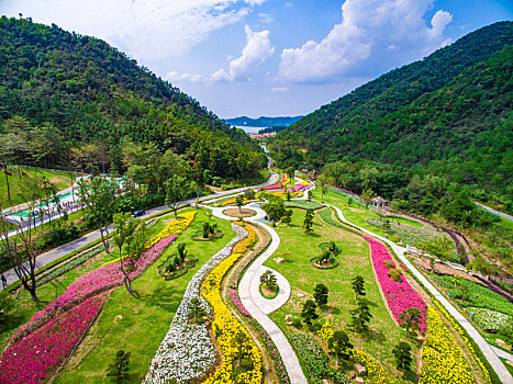 郁金香,花,花园,山谷,春色