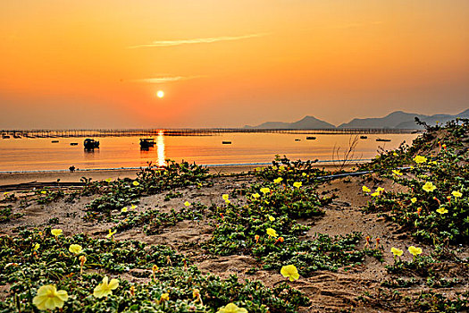 福建霞浦,海,渔船,沙滩,晚霞,野花