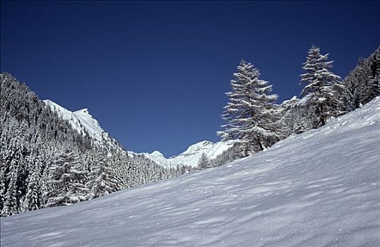 冬季风景,大雪,陶安,卡林西亚,奥地利,欧洲