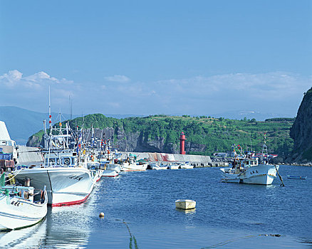 景色,渔港