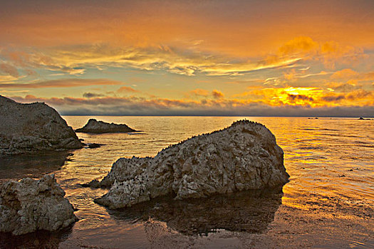 日落,鸟岛,罗伯士角州立保护区,加利福尼亚,美国