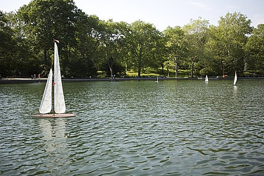 水塘,中央公园,纽约,美国