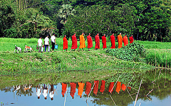 僧侣,寺院,孟加拉
