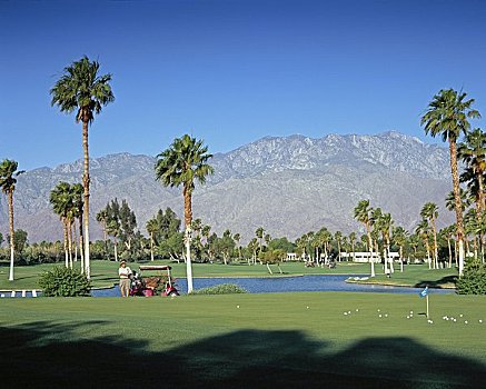 高尔夫球场,棕榈泉,山峦,加利福尼亚,美国