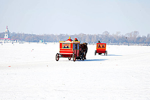 雪地上红色的马拉车