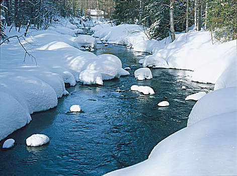 冬天,溪流,雪地,芬兰,斯堪的纳维亚,欧盟