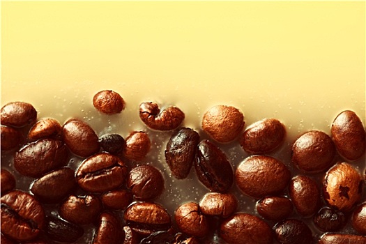 咖啡豆,背景,留白,文字