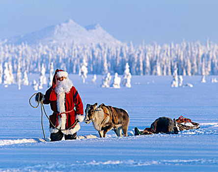 圣诞老人,驯鹿