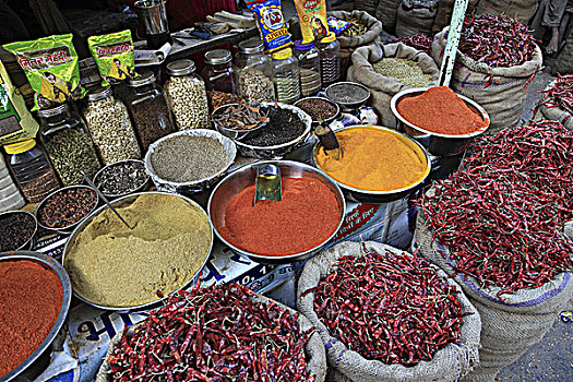 印度,拉贾斯坦邦,乌代浦尔,香料市场