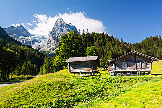 高山,小屋,牧场,攀升,冰河,背景,伯尔尼阿尔卑斯山,瑞士
