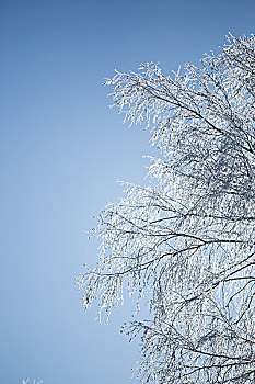 内蒙古坝上雪地自然风光