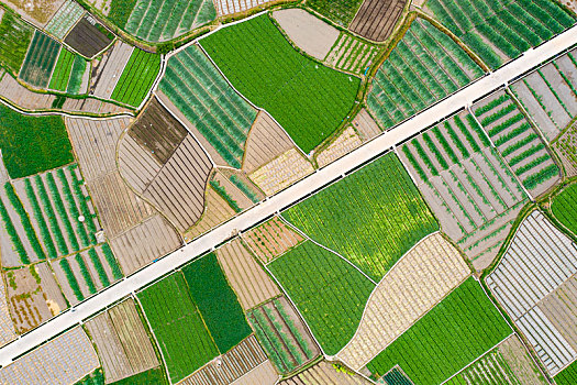 大理的田野油菜地,蓝天航拍云南大理的田野航拍云南大理的田野俯视