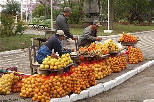 橙色,出售,亚松森,巴拉圭