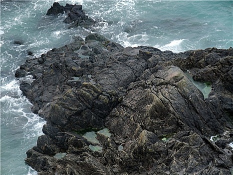 岩石海岸,特写