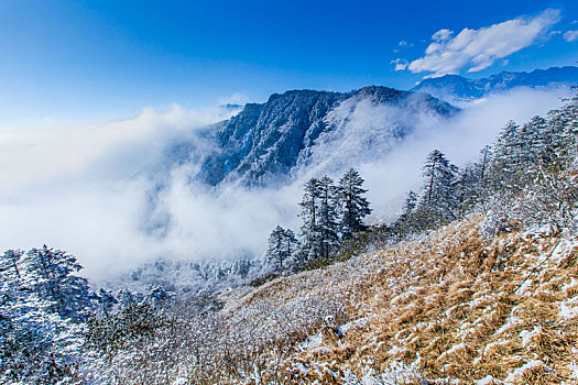 西岭雪山大雪的美丽风景