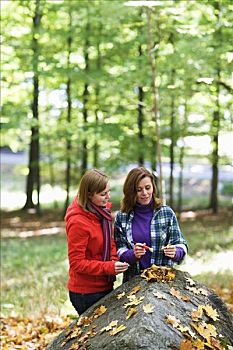 两个女人,采蘑菇,树林,瑞典