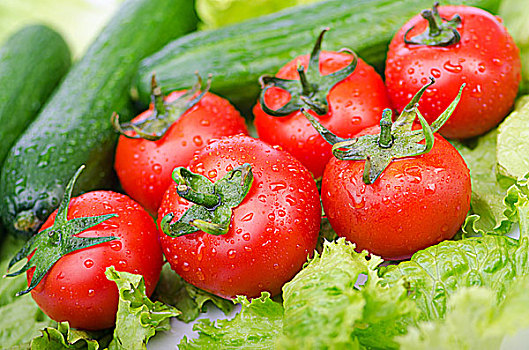 西红柿,黄瓜,就绪,沙拉