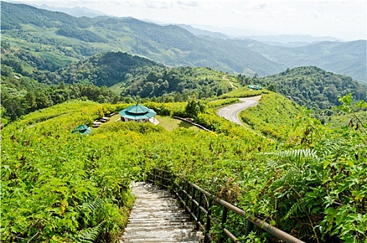 风景,高,山脉,视点,苏梅岛