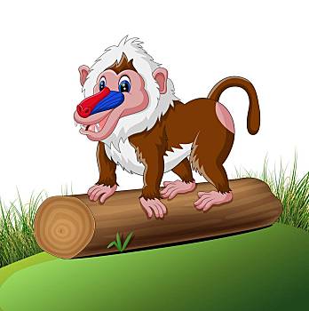 插画,可爱,狒狒,卡通