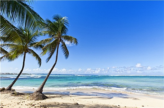 热带沙滩,瓜德罗普,岛屿