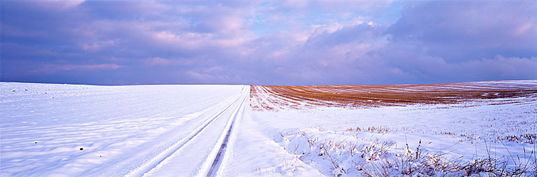 风景,积雪,地点