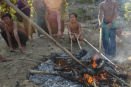 土著居民,抓住,巨蟒,燃烧,肉,孟加拉,2007年