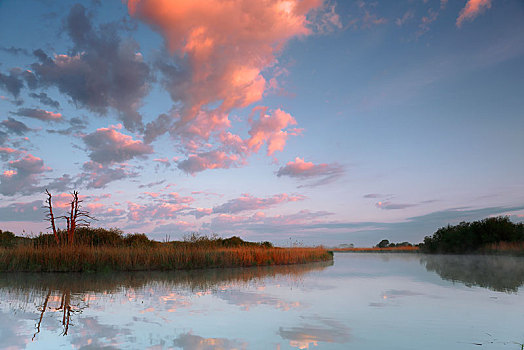 多云,早晨,河,自然公园,梅克伦堡前波莫瑞州,德国,欧洲
