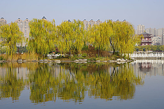 陕西西安大唐芙蓉园