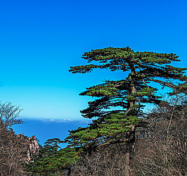 中国黄山,huang,shan,china