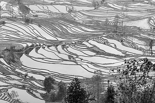 哀牢山哈尼梯田风光