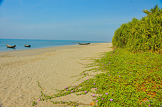 海洋,海滩,圣徒,岛屿,市场,只有,孟加拉,一个,著名,旅游胜地,小岛,东北方,湾