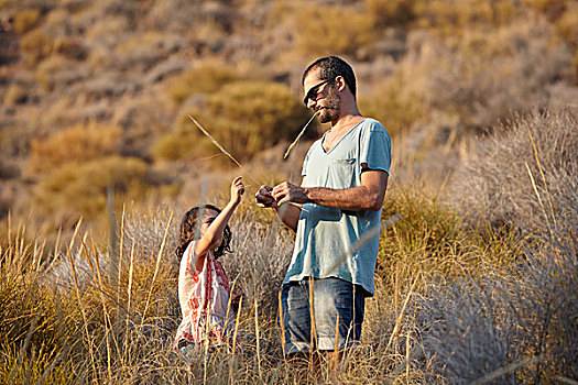 父亲,女儿,玩,高草,艾美利亚,安达卢西亚,西班牙