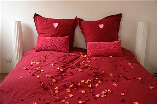 玫瑰花瓣,床,粉色,红色,枕头
