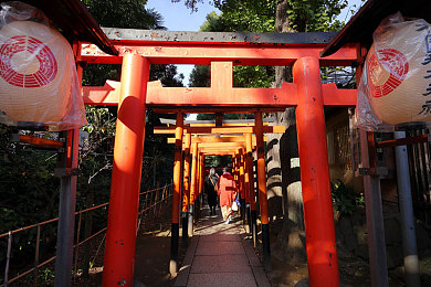 日本神社牌坊图片