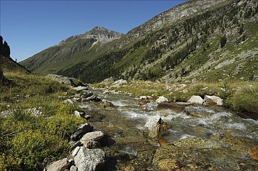山,湍流,国家公园,陶安,奥地利