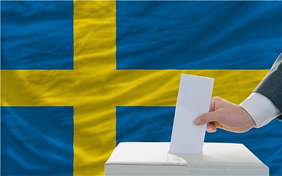 男人,投票,选举,瑞典,正面,旗帜