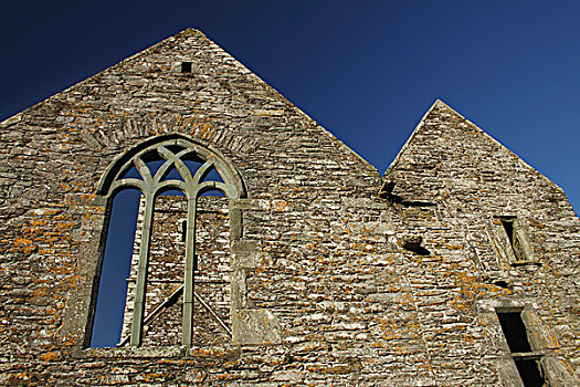 教堂,芒斯特,区域,科克郡,爱尔兰
