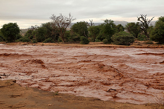 洪水,河,北方,肯尼亚