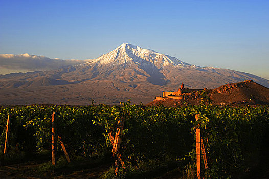 亚美尼亚,靠近,埃里温,寺院,山,葡萄园