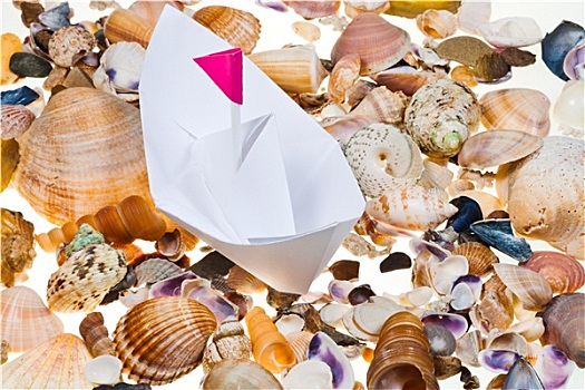 纸船,背景,海螺壳