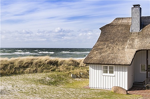 海岸,波罗的海,沙丘草,房子