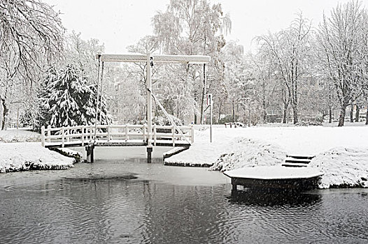 冬天雪景下雪的湖边