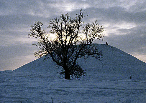 瑞典,秃树,雪,山